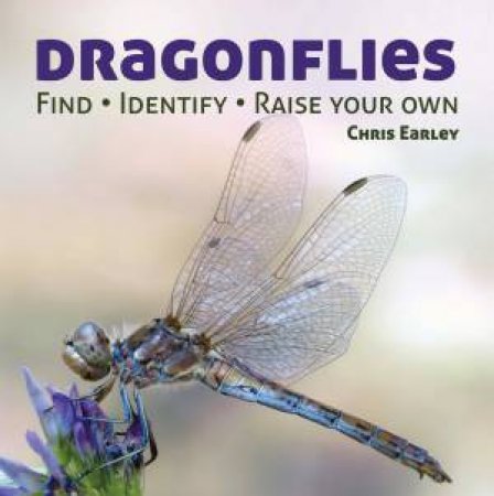 Dragonflies: Hunting - Identifying - How and Where They Live by EARLEY CHRIS