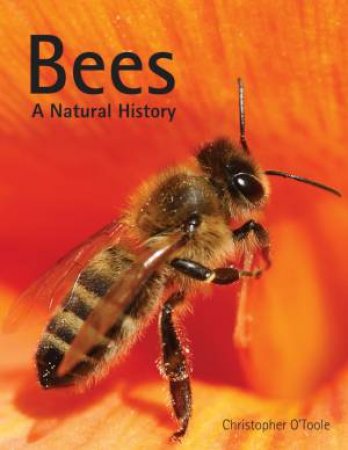 Bees: A Natural History by O'TOOLE CHRISTOPHER