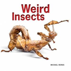 Weird Insects by WOREK MICHAEL