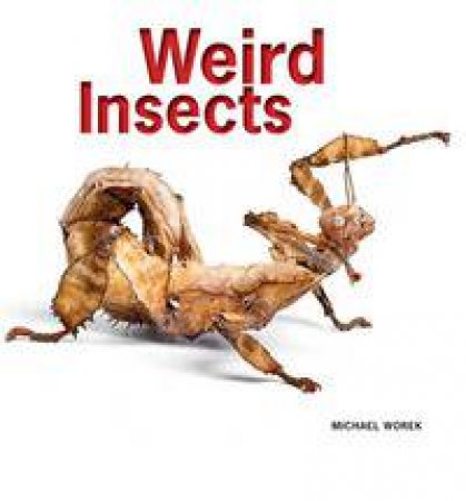 Weird Insects by WOREK MICHAEL