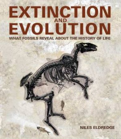 Extinction and Evolution by ELDREDGE NILES