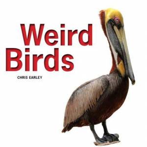 Weird Birds by EARLEY CHRIS