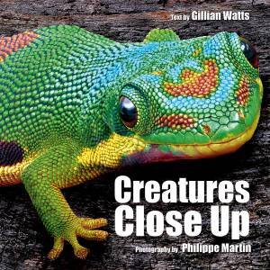 Creatures Close Up by GILLIAN WATTS