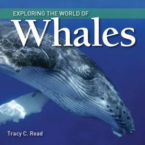 Exploring The World Of Whales by Tracy Read