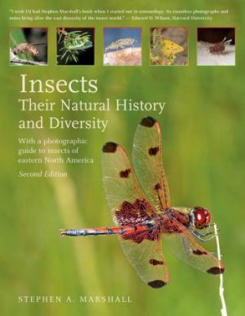 Insects: Their Natural History And Diversity by Stephen A. Marshall