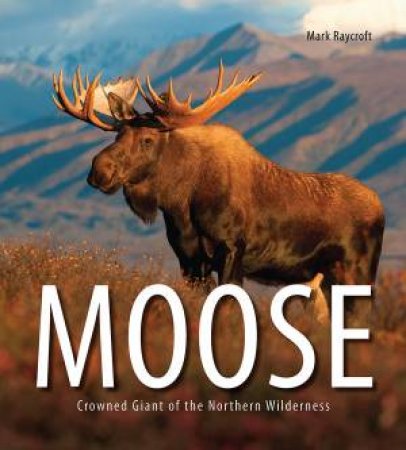 Moose: Crowned Giant Of The Northern Wilderness by Mark Raycroft