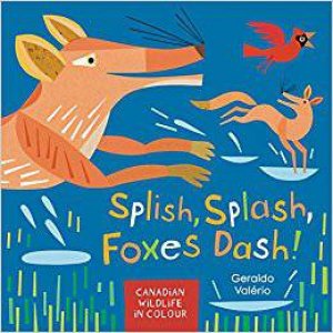 Splish, Splash, Foxes Dash! by Geraldo Valerio