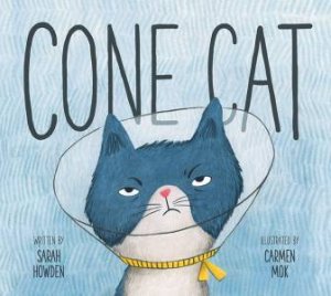 Cone Cat by Sarah Howden & Carmen Mok