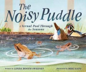 Noisy Puddle: A Vernal Pool through the Seasons by LINDA BOOTH SWEENEY