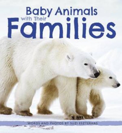 Baby Animals with Their Families