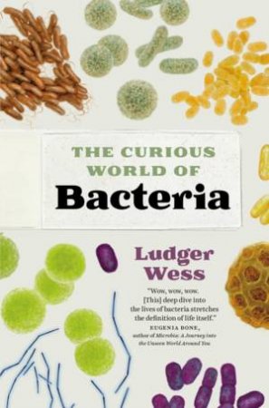 The Curious World of Bacteria by Ludger Wess & Jamie McIntosh