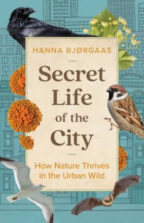 Secret Life of the City by Hanna Hagen Bjrgaas & Matt Bagguley