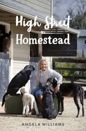 High Street to Homestead by Angela Williams