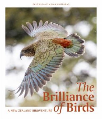 The Brilliance of Birds by Skye Wishart & Edin Whitehead