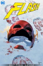 The Flash Vol 12