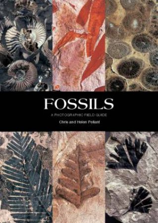 Fossils: A Photographic Filed Guide by Chris & Helen Pelland