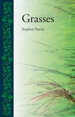 Grasses by Stephen Harris