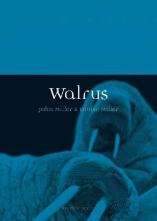 Walrus by John Miller & Louise  Miller