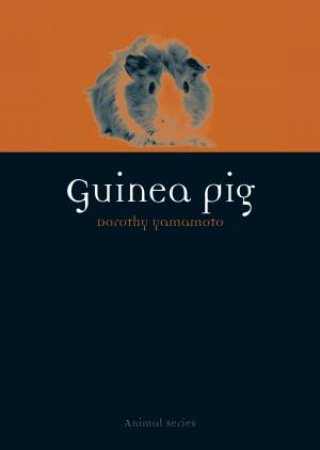 Guinea Pig by Dorothy Yamamoto