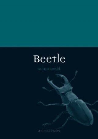 Beetle by Adam Dodd