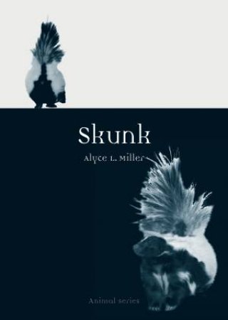 Skunk by Alyce L. Miller