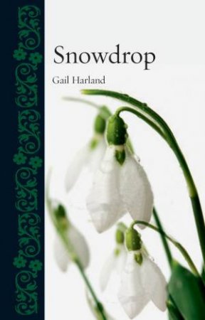 Snowdrop by Gail Harland