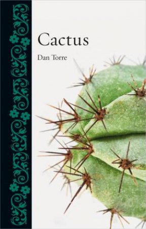 Cactus by Dan Torre