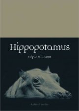 Hippopotamus