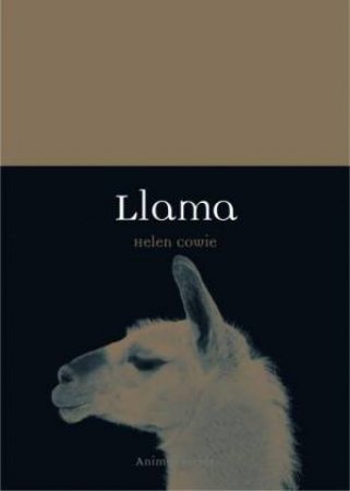 Llama by Helen Cowie