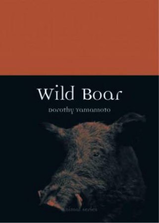 Wild Boar by Dorothy Yamamoto