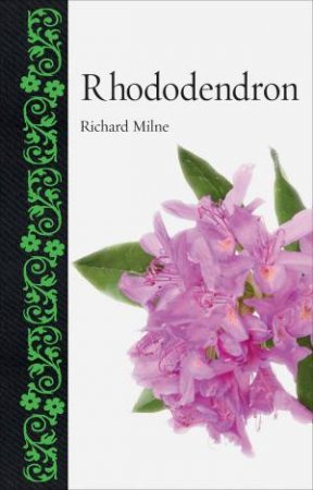 Rhododendron by Richard Milne