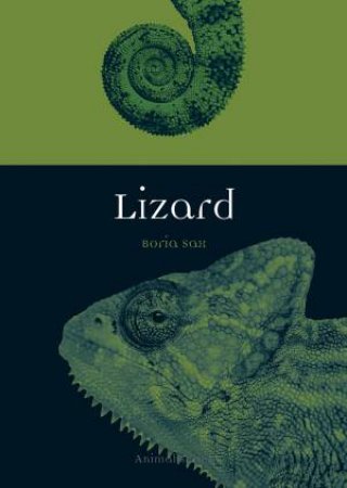 Lizard by Boria Sax