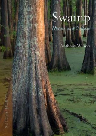 Swamp by Anthony Wilson