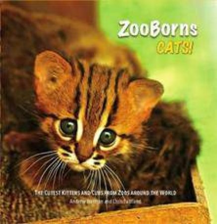 Zooborns: Cats by Andrew Bleiman & Chris Eastland