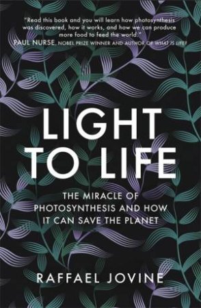 Light To Life by Raffael Jovine