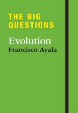 Big Questions The Evolution