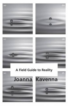 A Field Guide To Reality by Joanna Kavenna