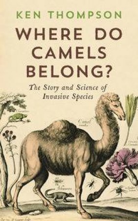 Where Do Camels Belong? by Ken Thompson