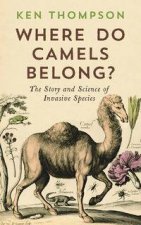 Where Do Camels Belong