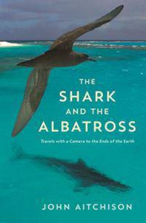 The Shark and the Albatross by John Aitchison