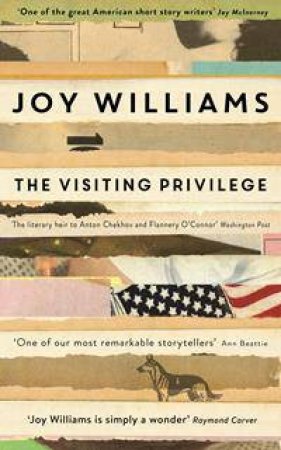 The Visiting Privilege: New And collected stories by Joy Williams