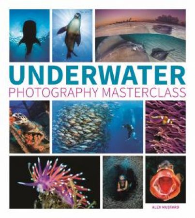 Underwater Photography Masterclass by ALEX MUSTARD