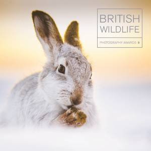 British Wildlife Photography Awards 9 by Maggie Gowan