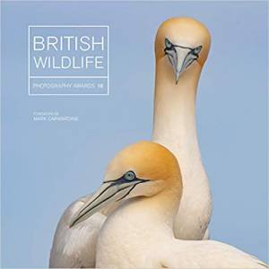 British Wildlife Photography Awards 10 by Maggie Gowan