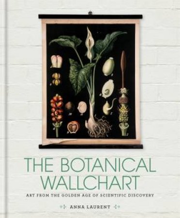 The Botanical Wall Chart by Anna Laurent