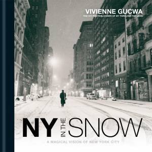 New York In The Snow by Vivienne Gucwa