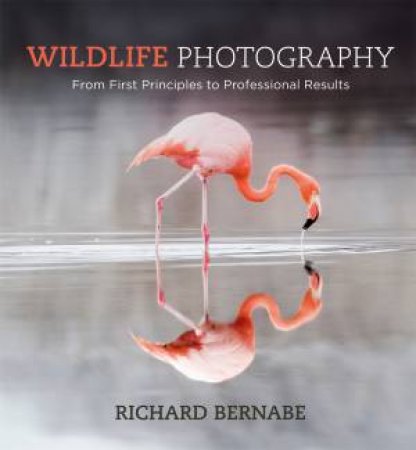 Wilflife Photography by Richard Bernabe