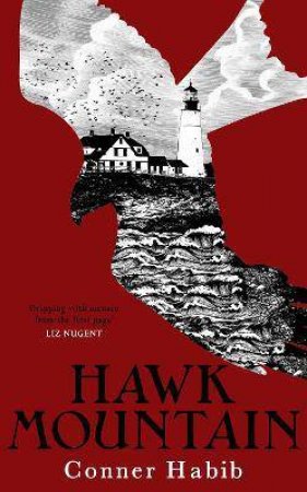 Hawk Mountain by Conner Habib