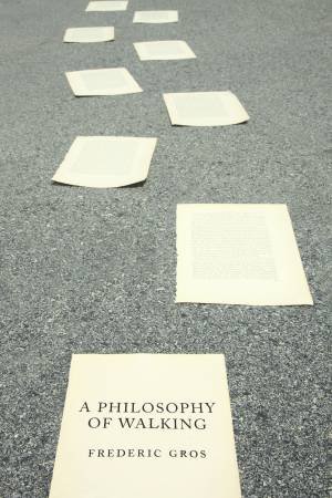 A Philosophy of Walking by Frederic Gros