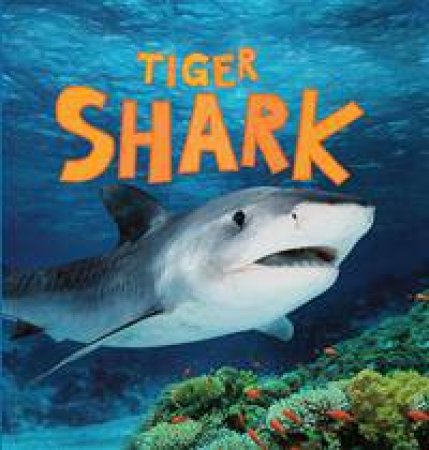 Discover Sharks: Tiger Shark by Camilla de la Bedoyere